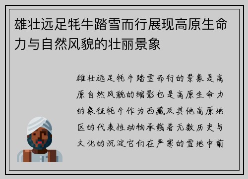 雄壮远足牦牛踏雪而行展现高原生命力与自然风貌的壮丽景象